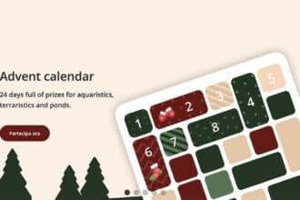 Calendario Avvento JBL 2025