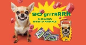 Box omaggio Life Natural