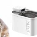 Campagna Puppy Kitten