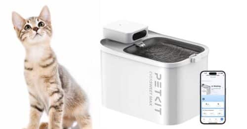 Campagna Puppy Kitten