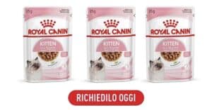Campioni omaggio Royal Canin Kitten