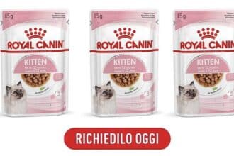 Campioni omaggio Royal Canin Kitten