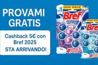 Cashback Bref 2025