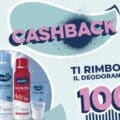 Cashback Sauber