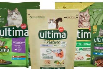 Cashback Ultima gatto