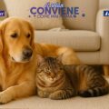 Cashback Feliway e Adaptil