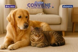 Cashback Feliway e Adaptil