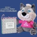 Concorso "Giro L'Italia con Best Western"