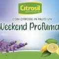 Concorso Citrosil 2025
