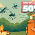Cashback Raid e Autan 2025