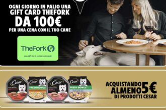 Concorso Cesar "Insieme è meglio"