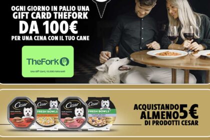 Concorso Cesar "Insieme è meglio"
