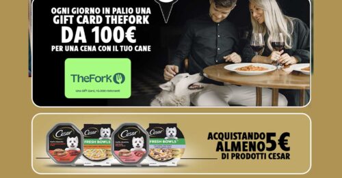 Concorso Cesar "Insieme è meglio"