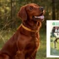 campioni omaggio AdVENTuROS Purina
