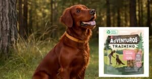 campioni omaggio AdVENTuROS Purina