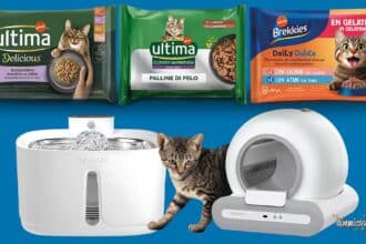 Concorso Ultima e Brekkies: vinci fontanelle e lettiere per il tuo gatto!