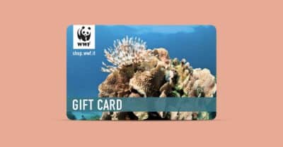 Concorso Rio Mare Insieme per gli oceani 2026 con Gift Card WWF in palio