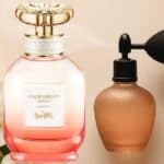 Coach Dreams Sunset EDP