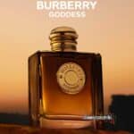 Campioni omaggio Burberry Goddess Amber Vanilla