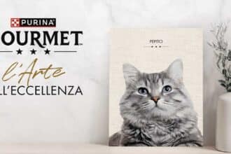 Concorso Gourmet 2026