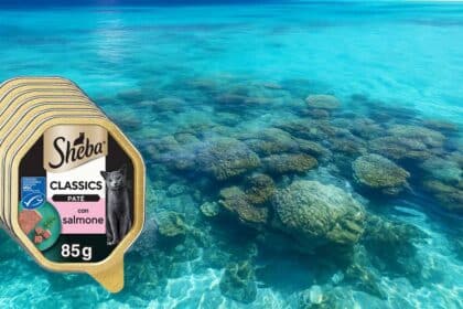 Concorso Sheba vinci viaggio Maldive