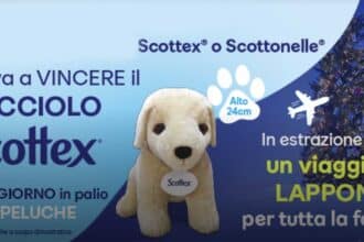 concorso scottex peluche