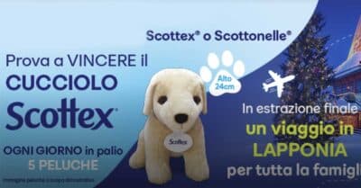concorso scottex peluche
