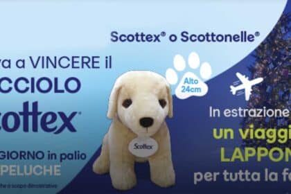 concorso scottex peluche