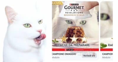Campione omaggio Purina Gourmet Revelations
