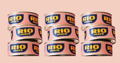 Vinci forniture di prodotti Rio mare