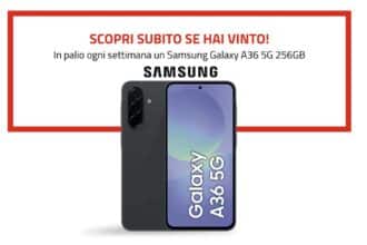 Concorso purina 2025