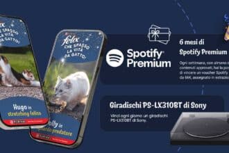 Concorso gratuito Felix gatto