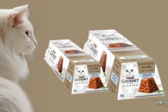Diventa tester Gourmet Revelations Bocconcini in Gelée