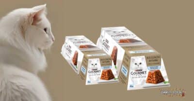 Diventa tester Gourmet Revelations Bocconcini in Gelée