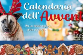 Calendario dell'Avvento Innovet 2025