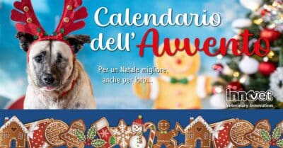Calendario dell'Avvento Innovet 2025