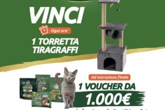 Con Ultima Cat Vinci il Tiragraffi