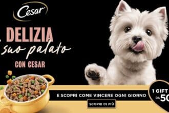 Concorso “SHEBA&CESAR 2026”