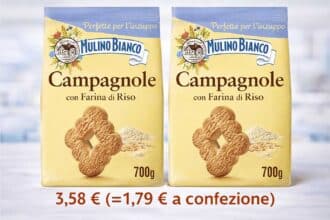 Biscotti Mulino Bianco Campagnole