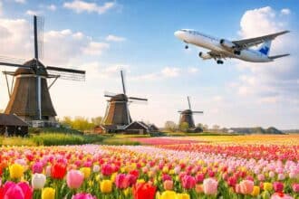 Concorso Autogrill Scopri l’Olanda con My Autogrill