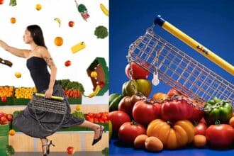 LIDL Trolley Bag Nik Bentel