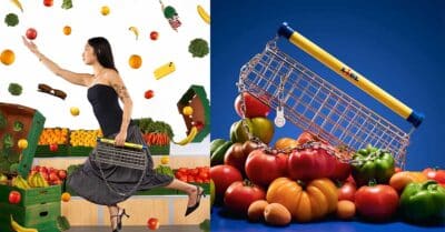 LIDL Trolley Bag Nik Bentel