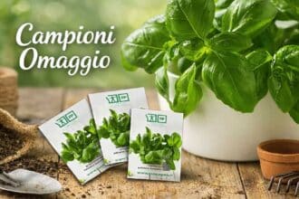 Semi di basilico gratis Fondazione Pezzoli