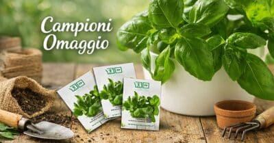 Semi di basilico gratis Fondazione Pezzoli