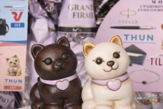 Uova Bauli Grandi Firme 2026 gattini thun