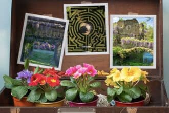 Concorso gratuito Tim Party è Primavera