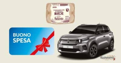 concorso Le Naturelle NaturelleGO buoni spesa 200 euro auto Citroën instant win