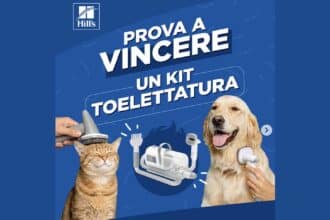 Concorso Instagram Hill's Pet Italia: vinci kit toelettatura, cibo e distributori automatici