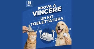 Concorso Instagram Hill's Pet Italia: vinci kit toelettatura, cibo e distributori automatici
