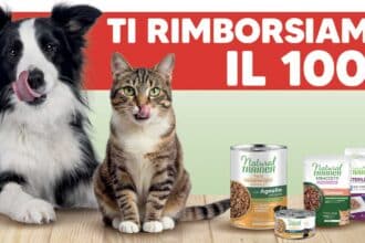 Provami gratis Natural Trainer Wet